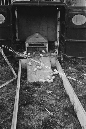 OLD VAN AS CHICKEN HOUSE